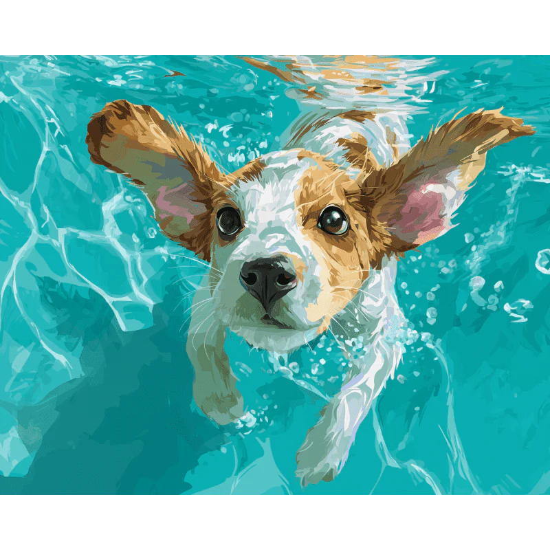 Underwater swimmer | Paint by Number