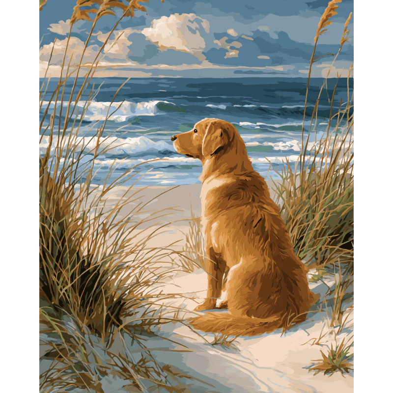 Waiting Labrador | Paint by Number